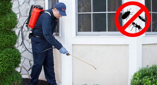 Şemdinli Akrep İlaçlama böcek ilaçlama ve haşere kontrolü — ilaclama-tr.com